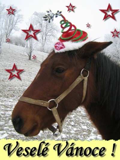 Obrazek